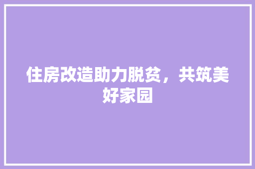 住房改造助力脱贫，共筑美好家园 现代风格装饰