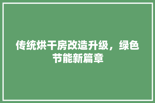 传统烘干房改造升级，绿色节能新篇章 客厅装修