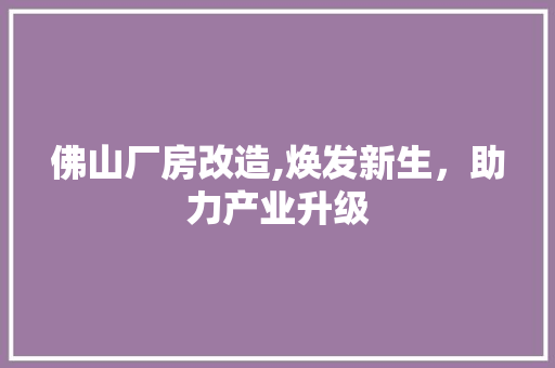 佛山厂房改造,焕发新生，助力产业升级