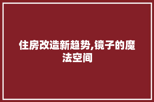 住房改造新趋势,镜子的魔法空间