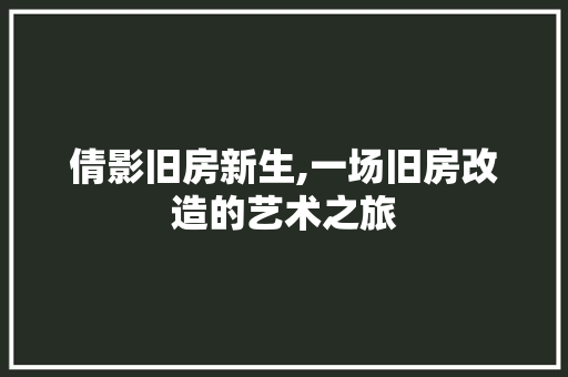 倩影旧房新生,一场旧房改造的艺术之旅 客厅装修