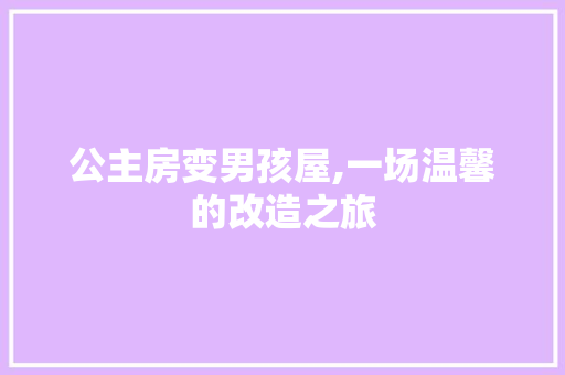 公主房变男孩屋,一场温馨的改造之旅