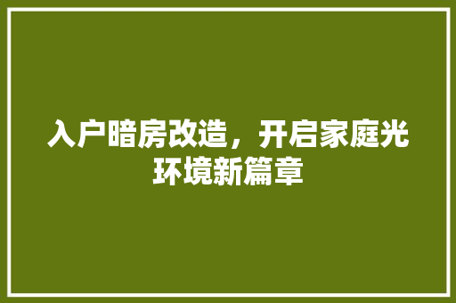 入户暗房改造，开启家庭光环境新篇章 木雕艺术