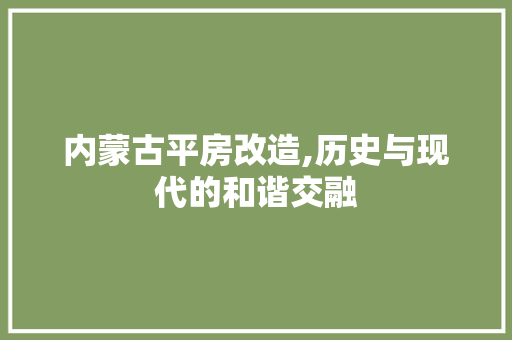 内蒙古平房改造,历史与现代的和谐交融