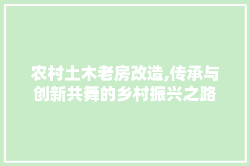 农村土木老房改造,传承与创新共舞的乡村振兴之路