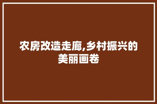 农房改造走廊,乡村振兴的美丽画卷 客厅装修