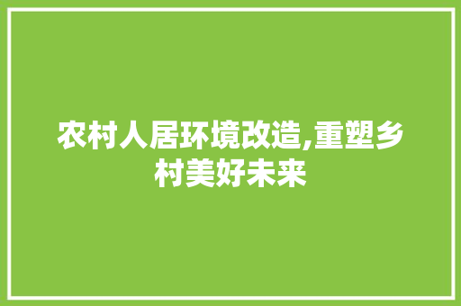 农村人居环境改造,重塑乡村美好未来 客厅装修