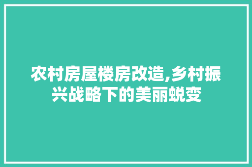 农村房屋楼房改造,乡村振兴战略下的美丽蜕变