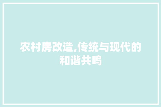 农村房改造,传统与现代的和谐共鸣 软装设计