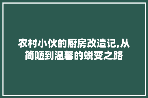 农村小伙的厨房改造记,从简陋到温馨的蜕变之路 软装设计