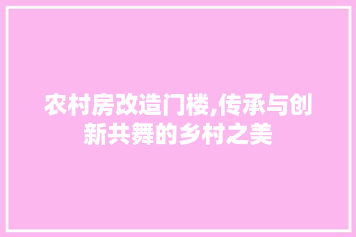 农村房改造门楼,传承与创新共舞的乡村之美 软装设计
