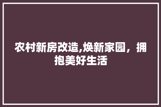 农村新房改造,焕新家园，拥抱美好生活