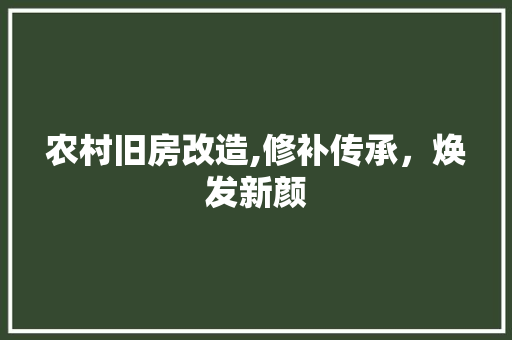 农村旧房改造,修补传承，焕发新颜 家居装修
