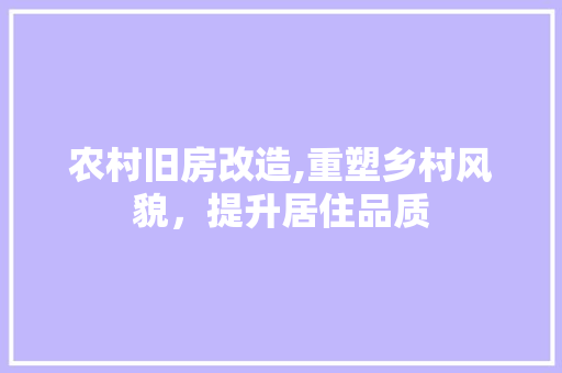 农村旧房改造,重塑乡村风貌，提升居住品质 现代风格装饰