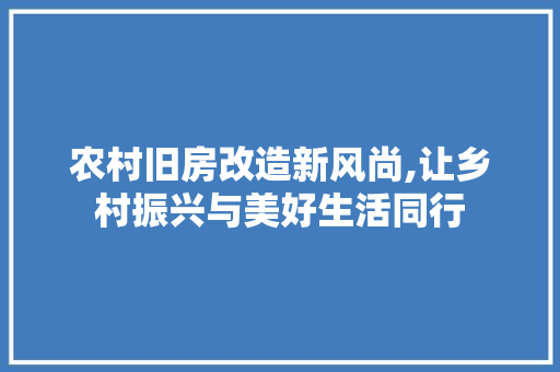 农村旧房改造新风尚,让乡村振兴与美好生活同行