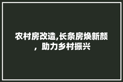 农村房改造,长条房焕新颜，助力乡村振兴 客厅装修