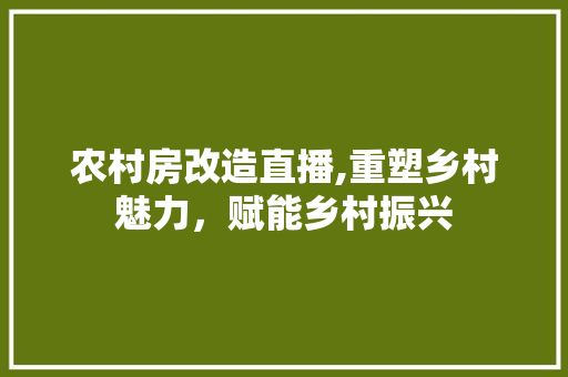 农村房改造直播,重塑乡村魅力，赋能乡村振兴 客厅装修