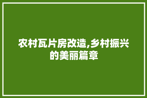 农村瓦片房改造,乡村振兴的美丽篇章 中式风格装饰