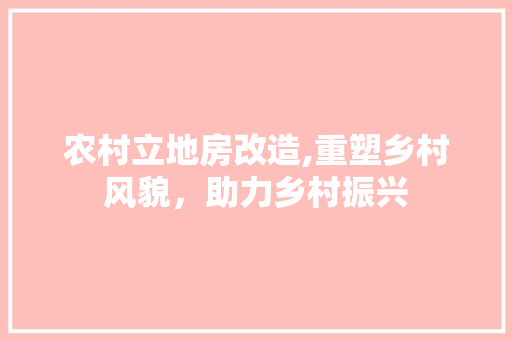 农村立地房改造,重塑乡村风貌，助力乡村振兴 地板材料