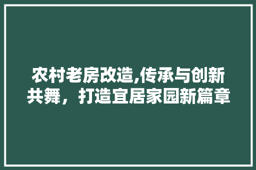 农村老房改造,传承与创新共舞，打造宜居家园新篇章