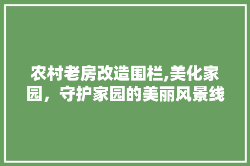 农村老房改造围栏,美化家园，守护家园的美丽风景线
