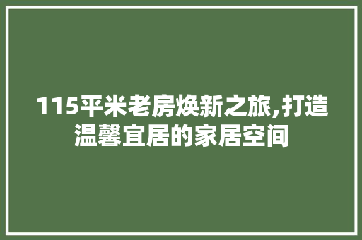115平米老房焕新之旅,打造温馨宜居的家居空间 家居装修