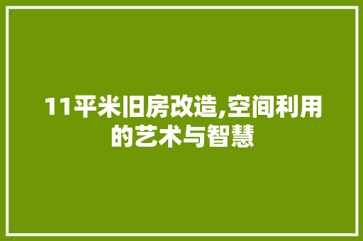 11平米旧房改造,空间利用的艺术与智慧