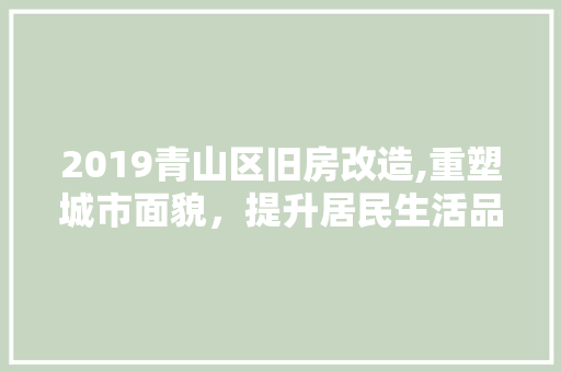 2019青山区旧房改造,重塑城市面貌，提升居民生活品质 卧室装修