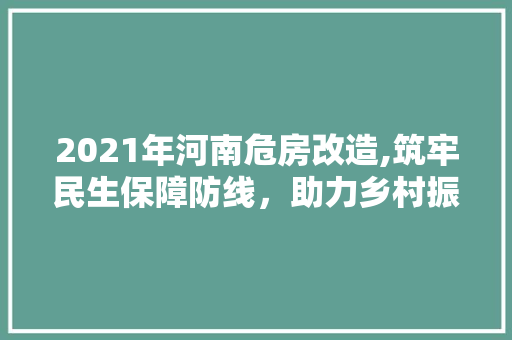 2021年河南危房改造,筑牢民生保障防线，助力乡村振兴 木雕艺术