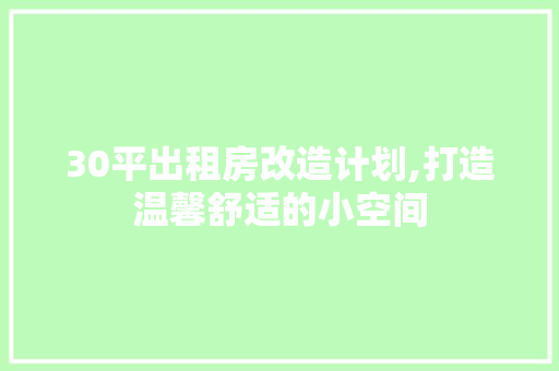 30平出租房改造计划,打造温馨舒适的小空间 室内设计