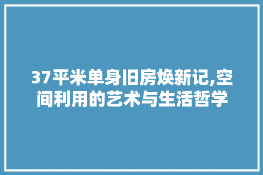 37平米单身旧房焕新记,空间利用的艺术与生活哲学 木雕艺术