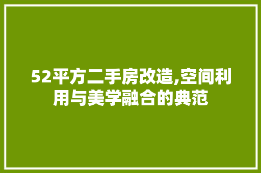 52平方二手房改造,空间利用与美学融合的典范