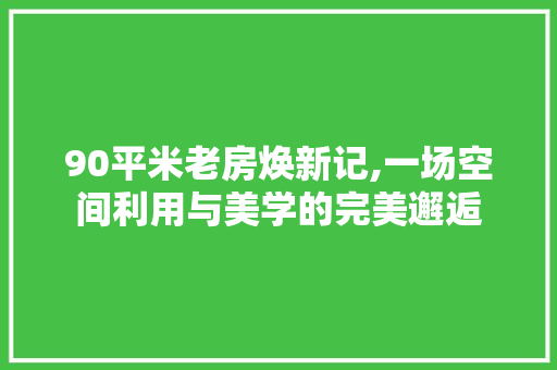 90平米老房焕新记,一场空间利用与美学的完美邂逅 软装设计