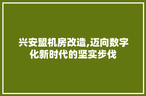 兴安盟机房改造,迈向数字化新时代的坚实步伐 现代风格装饰