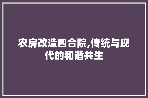 农房改造四合院,传统与现代的和谐共生 木雕艺术