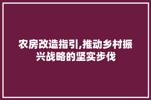 农房改造指引,推动乡村振兴战略的坚实步伐