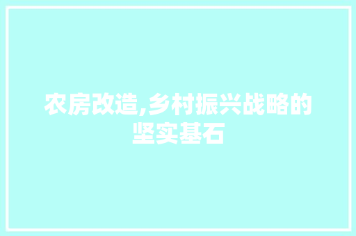 农房改造,乡村振兴战略的坚实基石