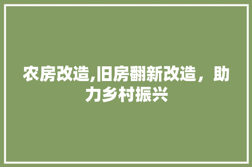 农房改造,旧房翻新改造，助力乡村振兴 客厅装修
