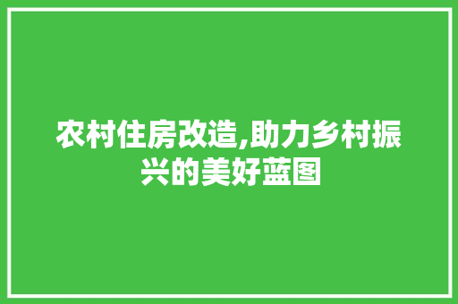 农村住房改造,助力乡村振兴的美好蓝图