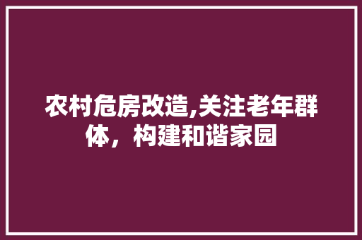 农村危房改造,关注老年群体，构建和谐家园 地板材料