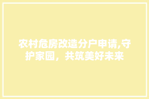 农村危房改造分户申请,守护家园，共筑美好未来 现代风格装饰