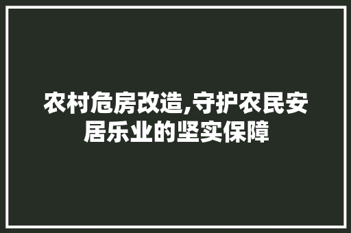 农村危房改造,守护农民安居乐业的坚实保障 家居装修