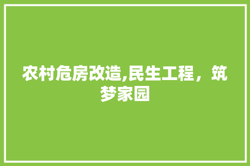 农村危房改造,民生工程，筑梦家园 地板材料