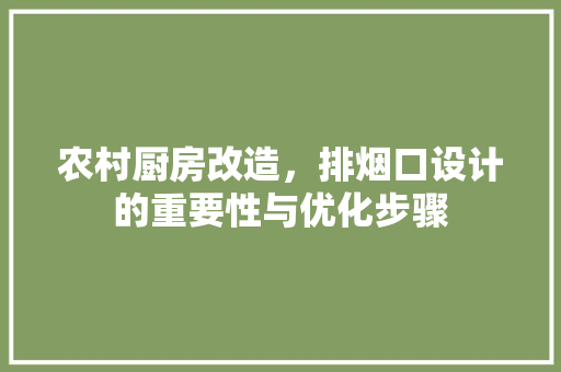 农村厨房改造，排烟口设计的重要性与优化步骤