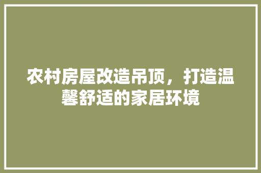 农村房屋改造吊顶，打造温馨舒适的家居环境