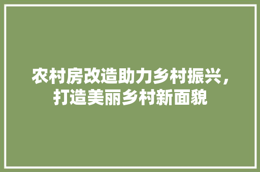 农村房改造助力乡村振兴，打造美丽乡村新面貌