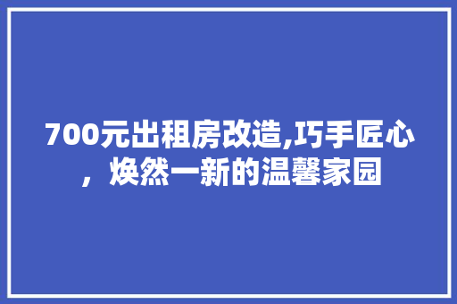 700元出租房改造,巧手匠心，焕然一新的温馨家园 木雕艺术