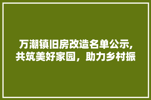 万潮镇旧房改造名单公示,共筑美好家园，助力乡村振兴 地板材料