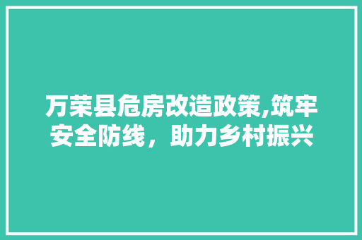 万荣县危房改造政策,筑牢安全防线，助力乡村振兴 木雕艺术