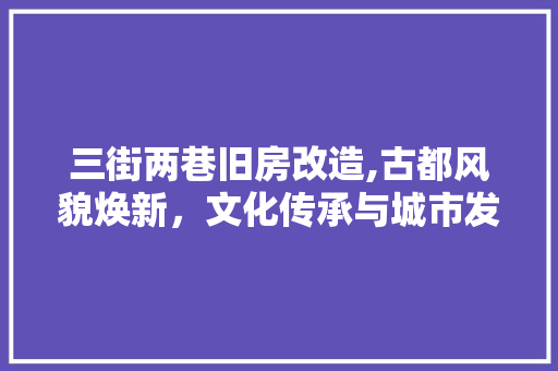 三街两巷旧房改造,古都风貌焕新，文化传承与城市发展并行 软装设计